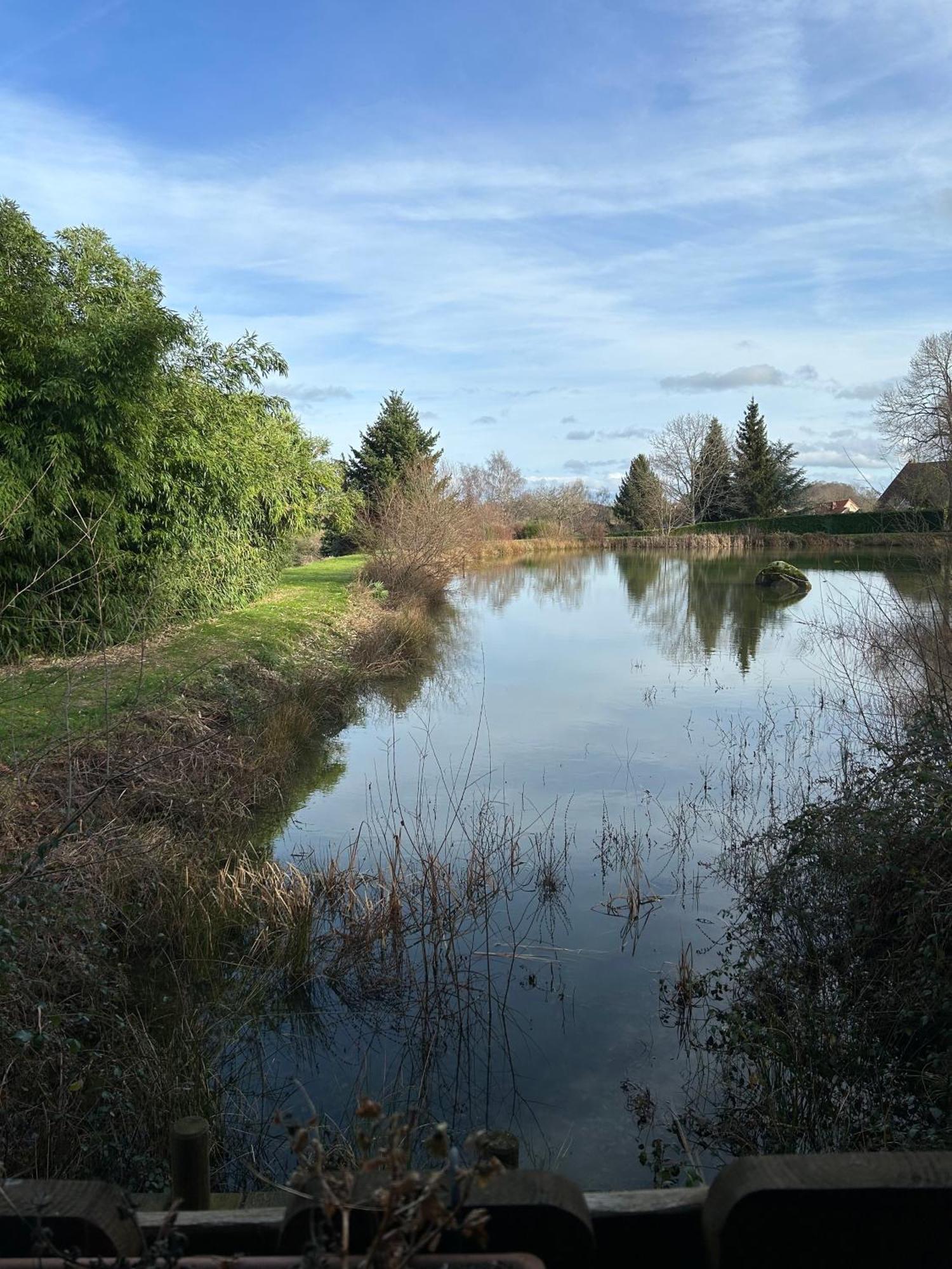 Le Domaine De La Vergnolle Roches  Exterior foto