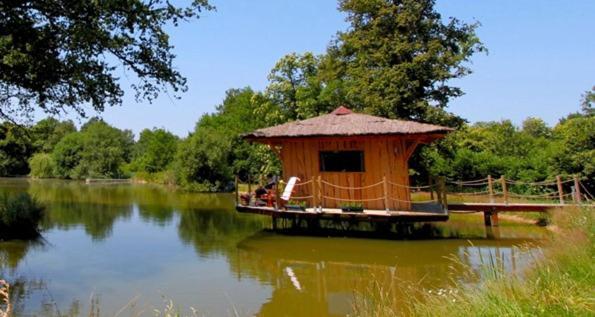 Le Domaine De La Vergnolle Roches  Exterior foto